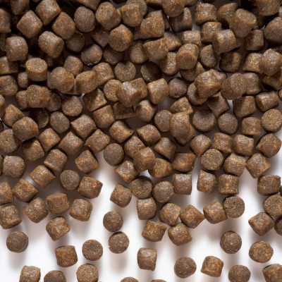 fishpellet